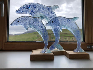 Ocean Blue Dolphin