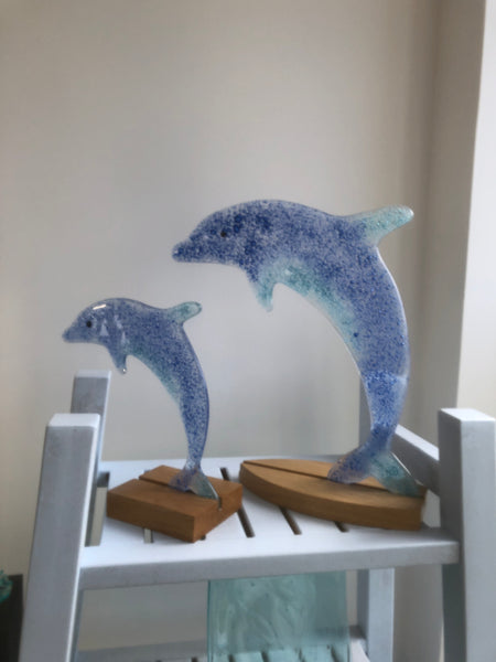 Ocean Blue Dolphin