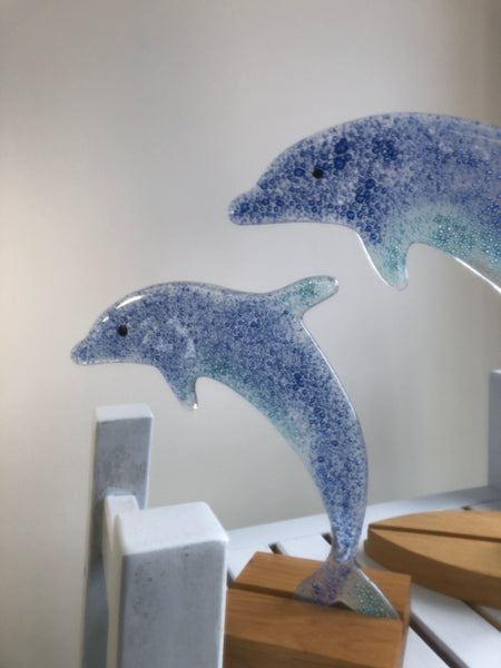 Ocean Blue Dolphin